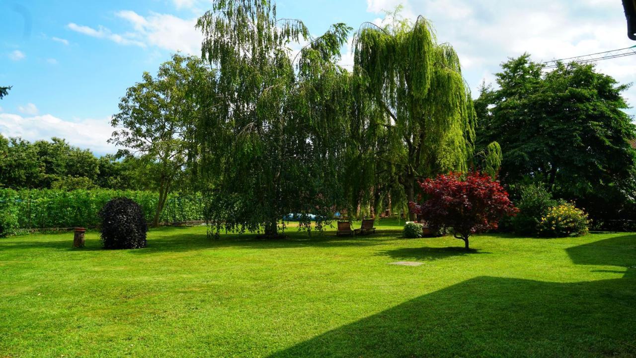 Bed & Breakfast Milu Cuneo Dış mekan fotoğraf