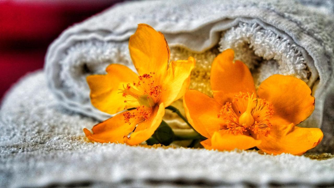 Bed & Breakfast Milu Cuneo Dış mekan fotoğraf