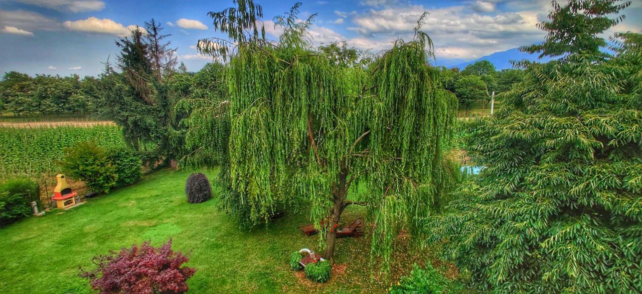 Bed & Breakfast Milu Cuneo Dış mekan fotoğraf