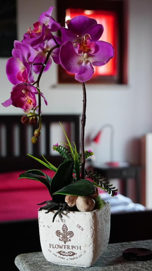 Bed & Breakfast Milu Cuneo Dış mekan fotoğraf
